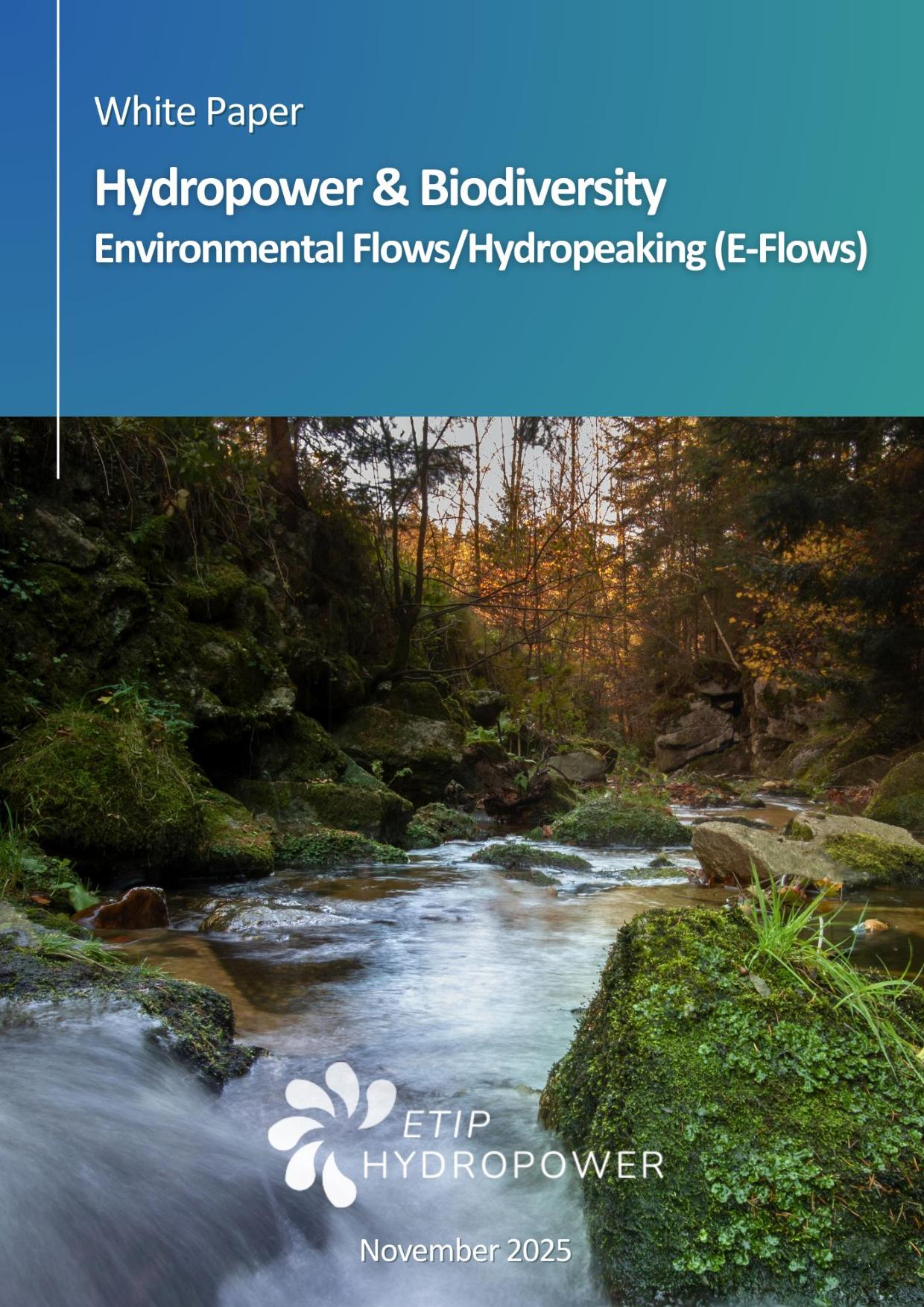 White Paper_E-Flow and Hydropeaking_FINAL_17.11