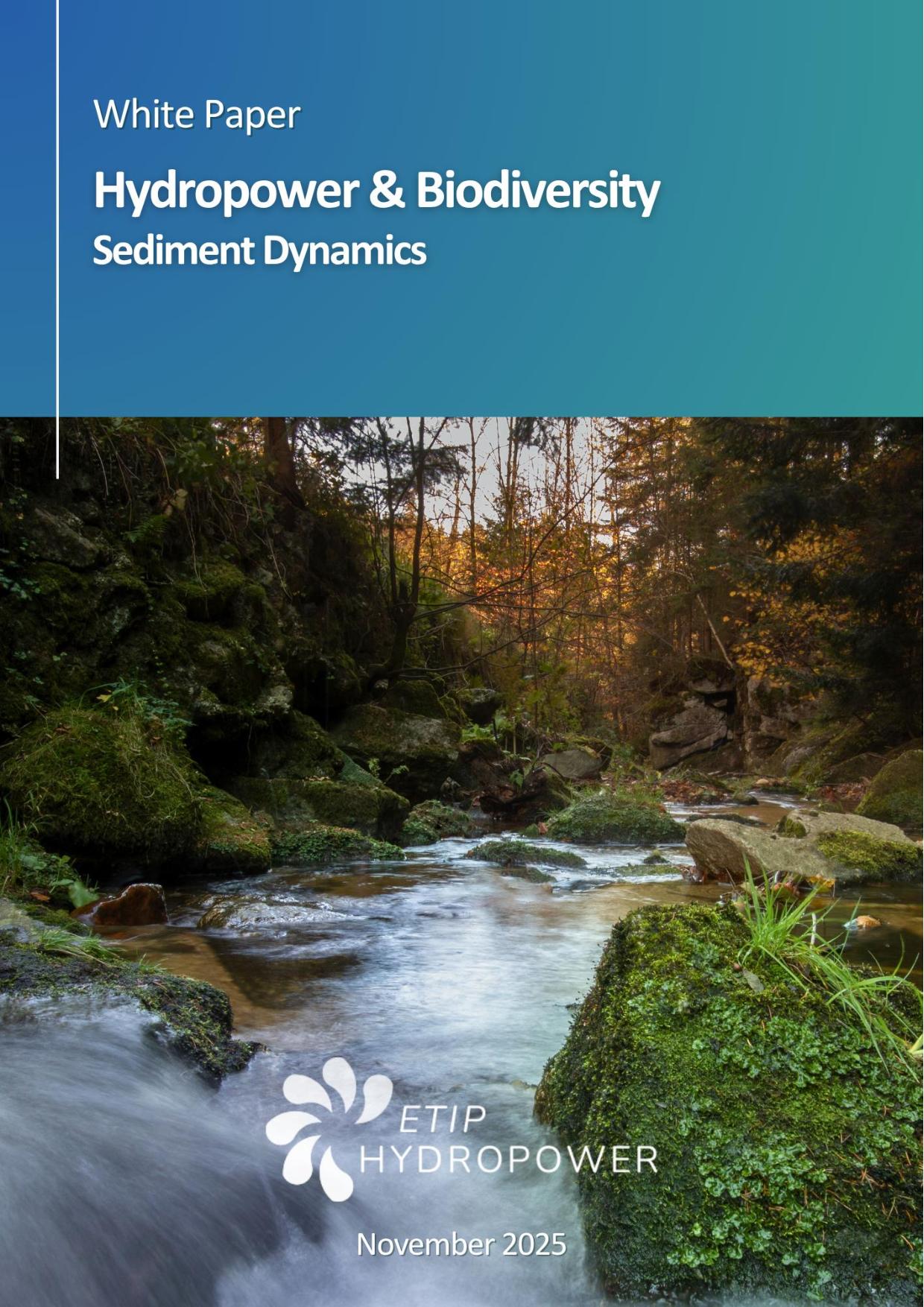 White Paper_SedimentDynamics_FINAL_17.11
